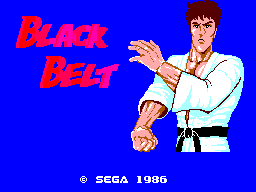 Black Belt screenshot 3 for Sega Master System
